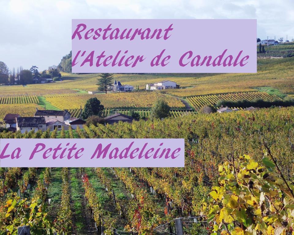 La Petite Madeleine Ξενοδοχείο Castillon-la-Bataille Εξωτερικό φωτογραφία